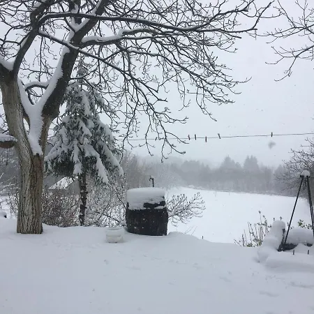 Mundzic- Sumski Mir Irig