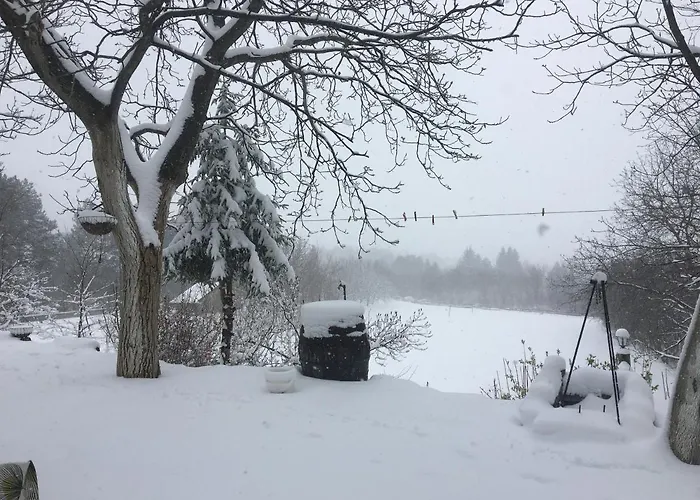 Mundzic- Sumski Mir Irig